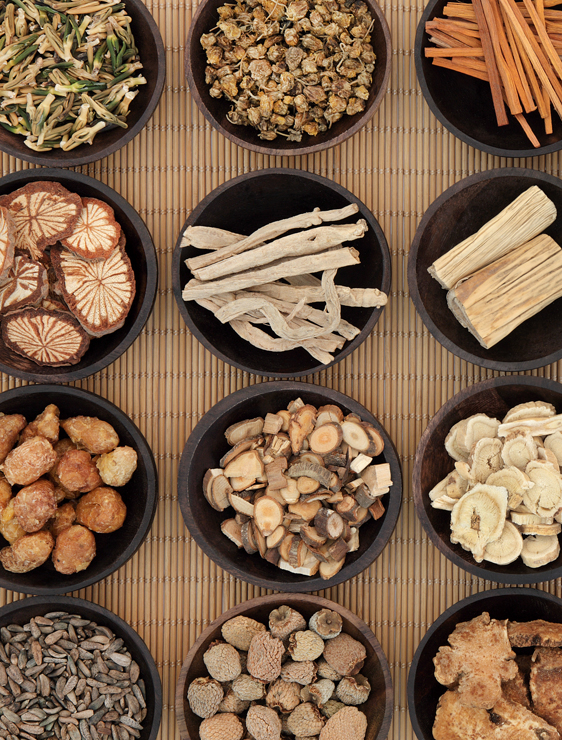 chinese-herbal-medicine chinese moxa