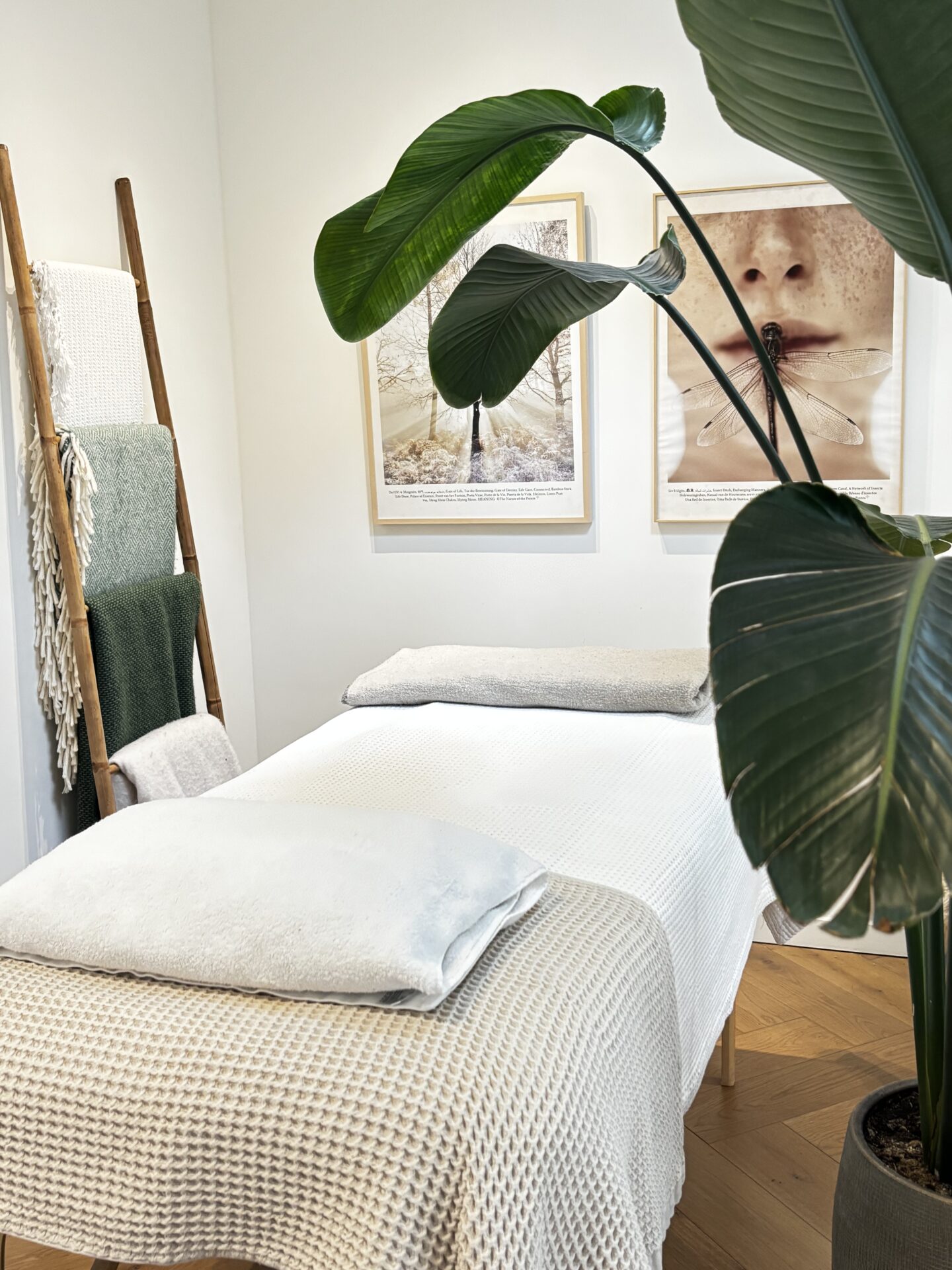 House of Qi studio in De Pijp Amsterdam – oase van rust